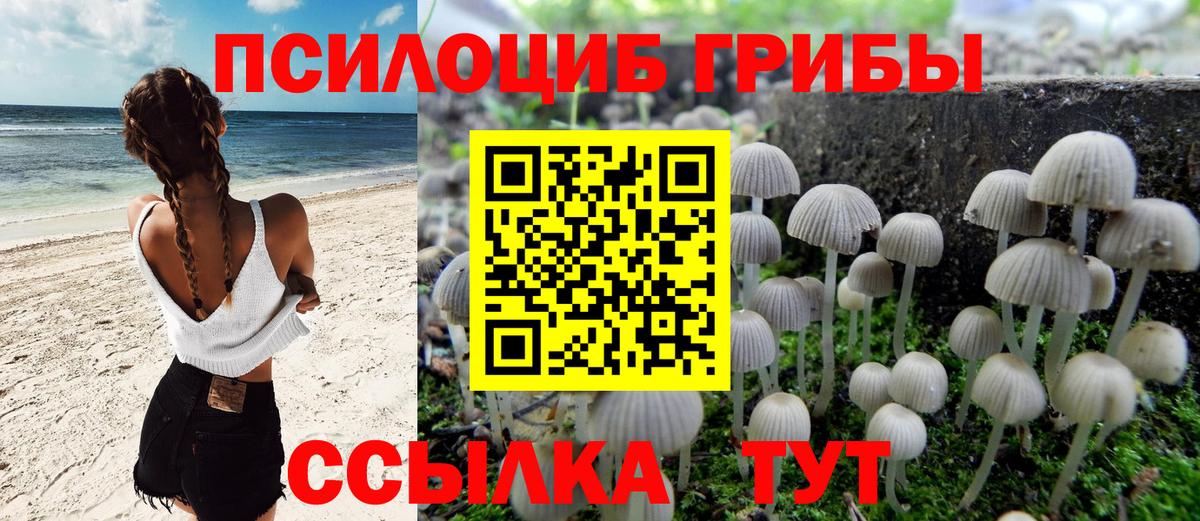 Меф мяу мяу Петрозаводск