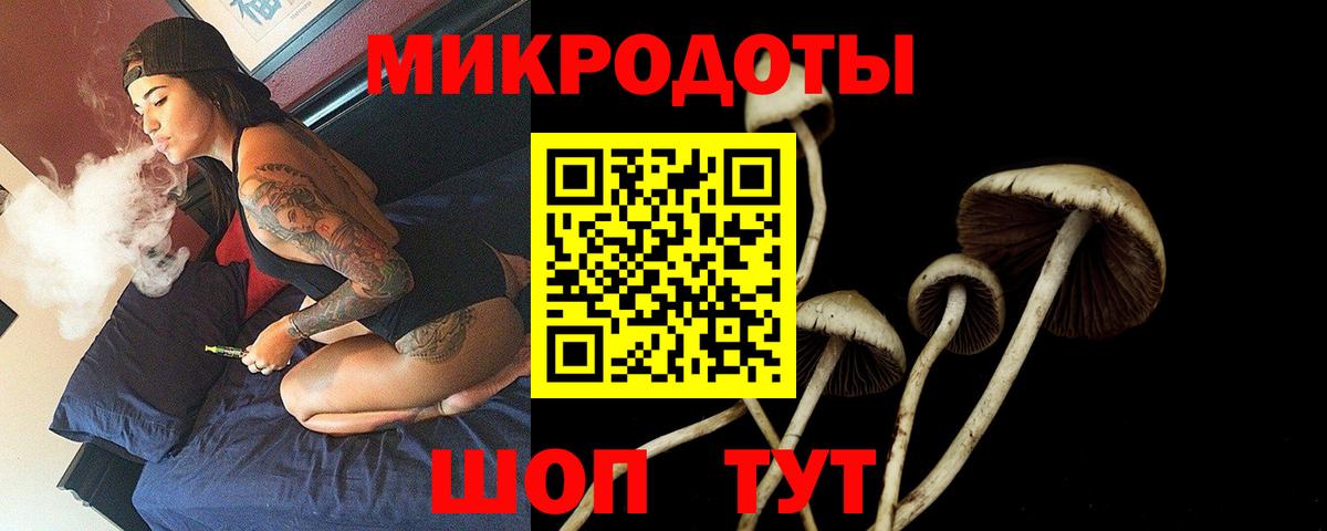 Псилоцибиновые грибы Cubensis Петрозаводск